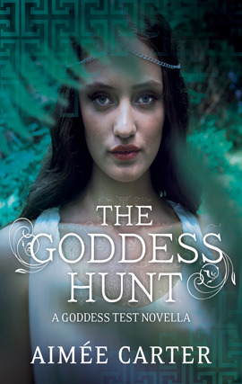 Cover image for The Goddess Hunt